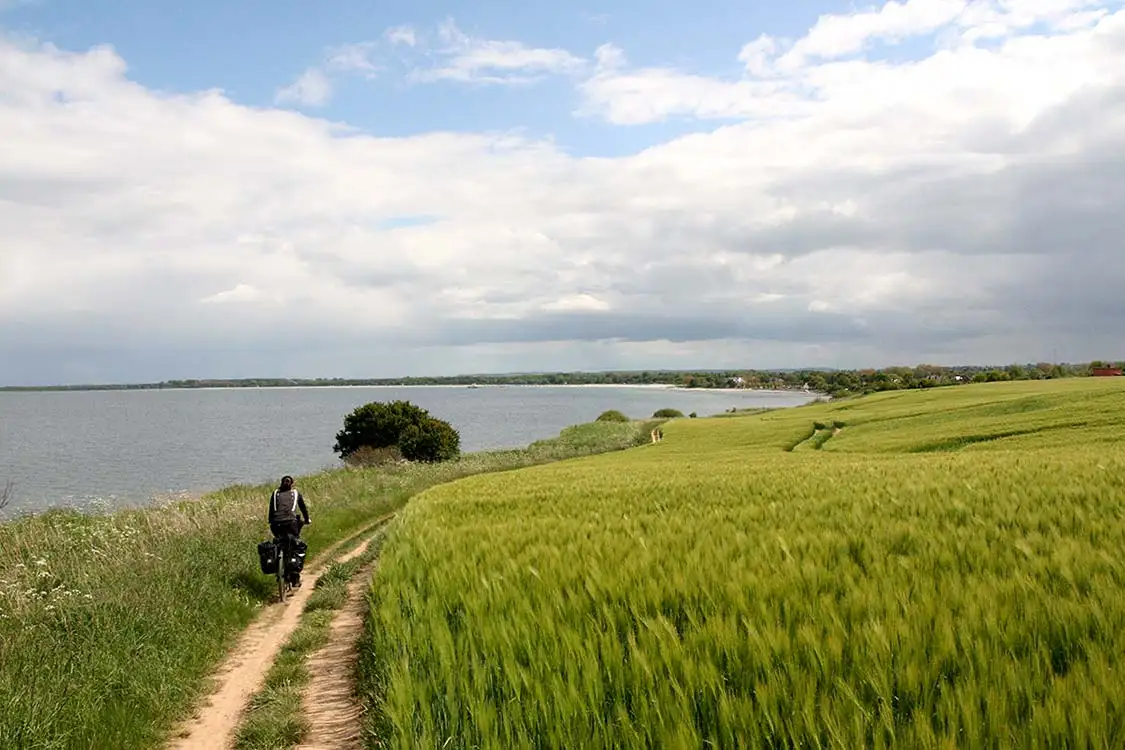 Bild vom Ostseeradweg